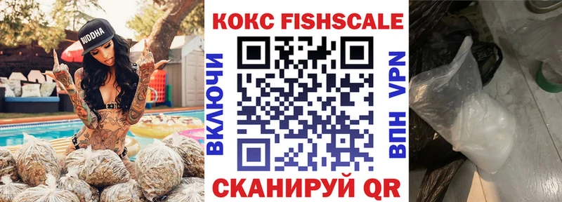 Купить закладки  Лобня  Cocaine FishScale 