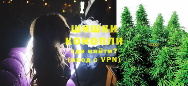 сатива Ладушкин