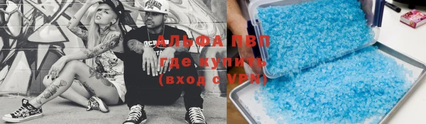 сатива Ладушкин